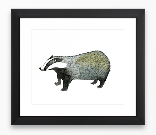 Badger