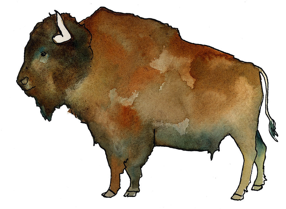 Buffalo