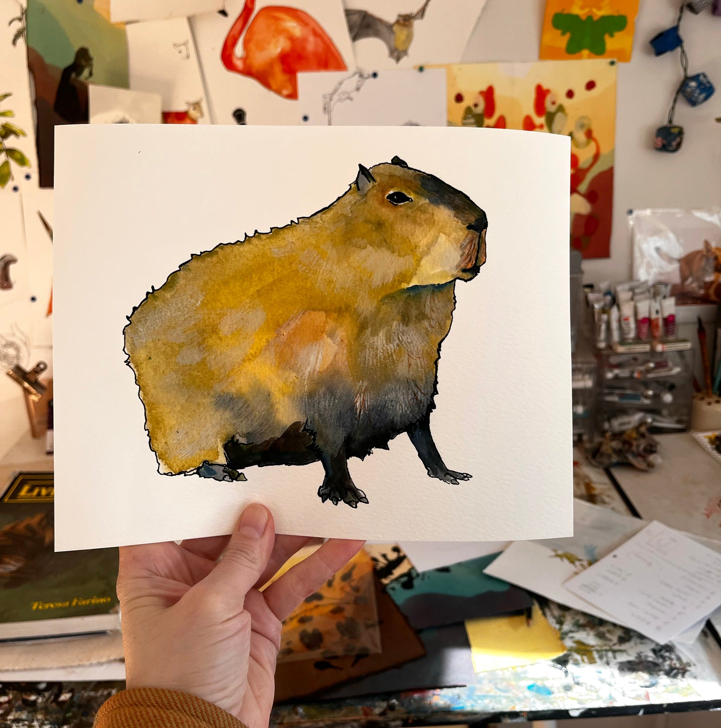 Capybara