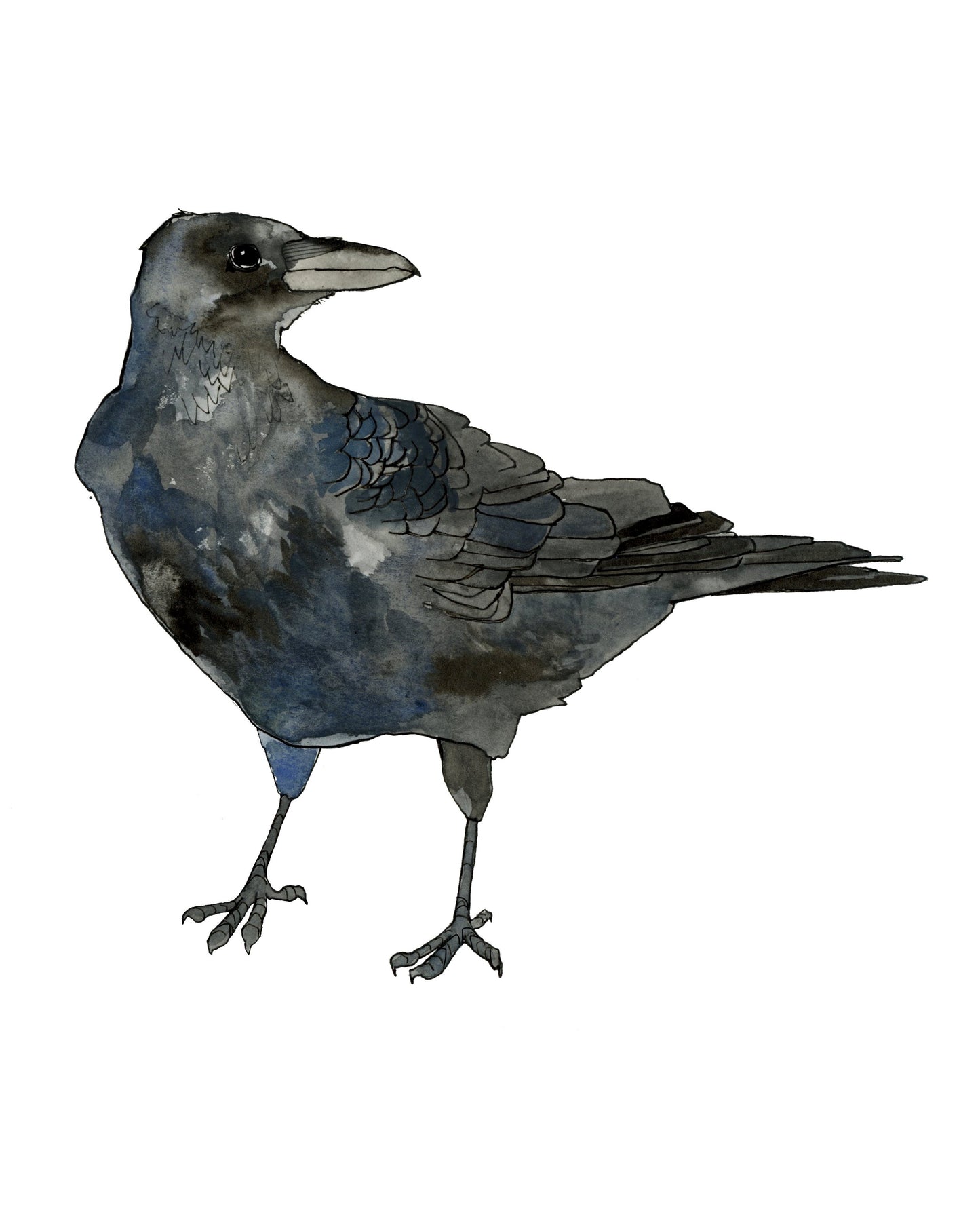 Crow