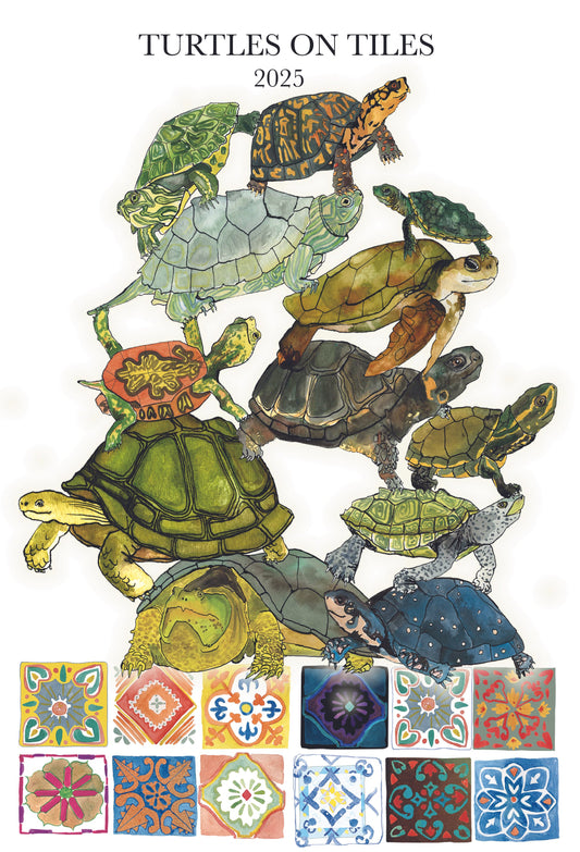 Turtles on Tiles a 2025 Calendar