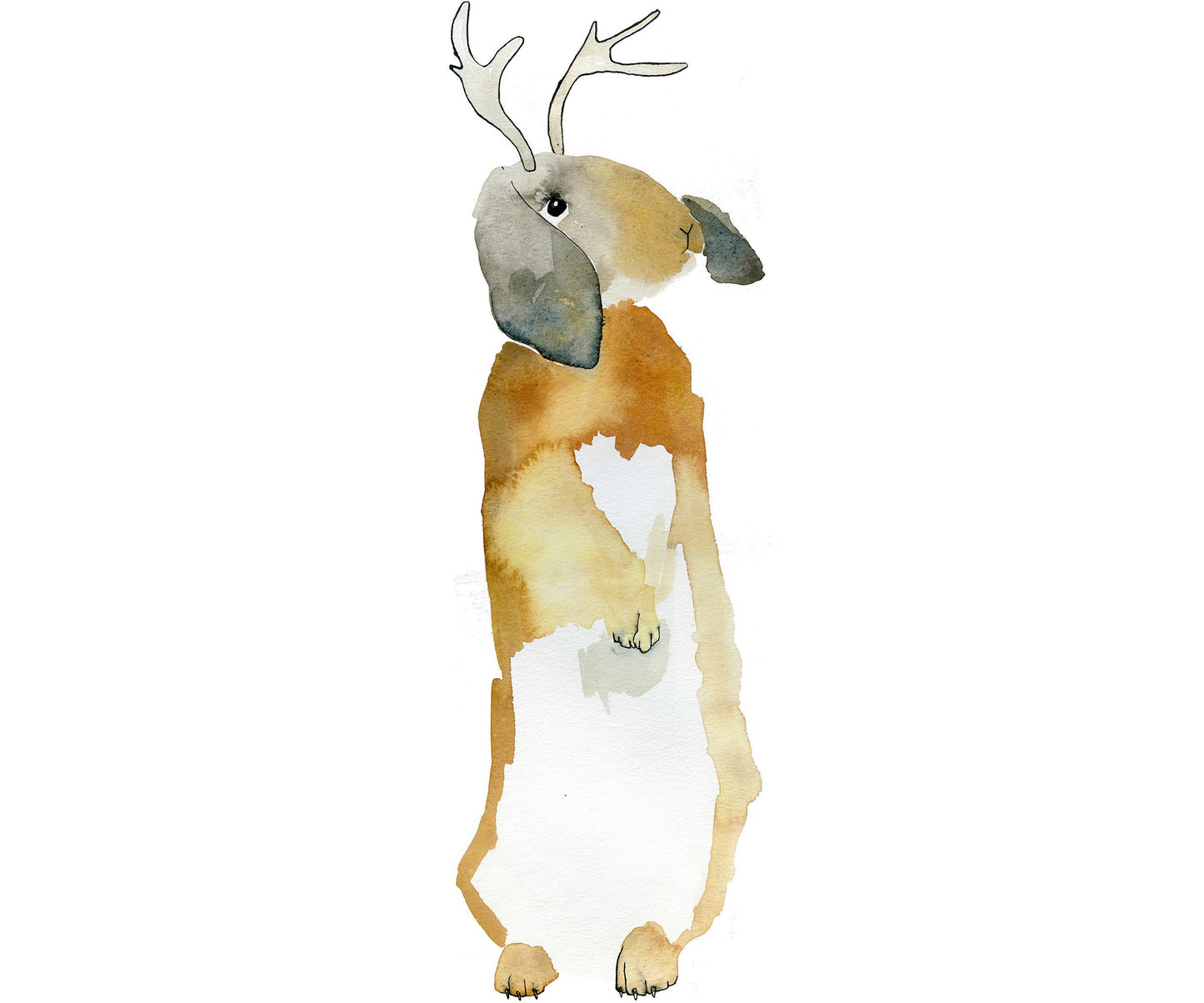 Jackalope Standing