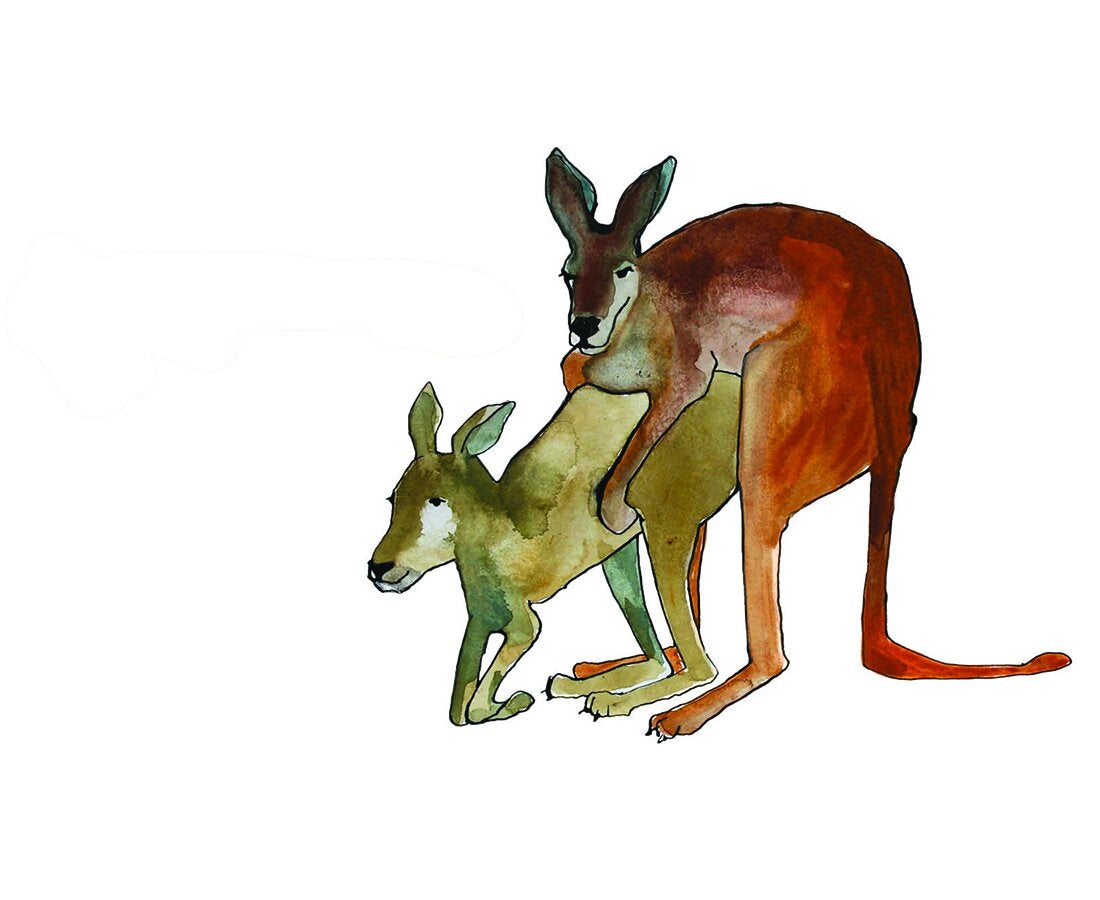 Kangaroo Love