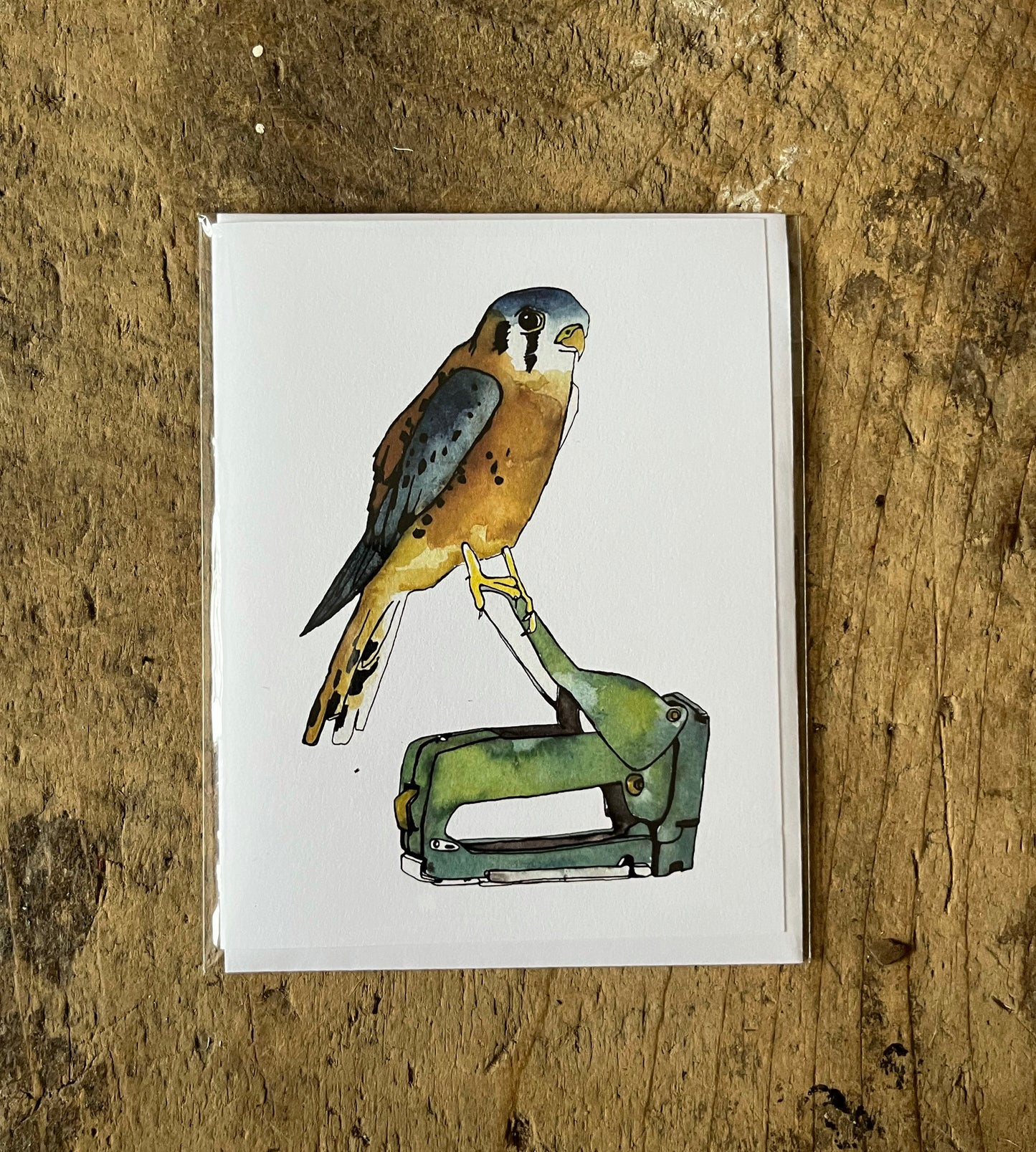 Kestrel and Stapler