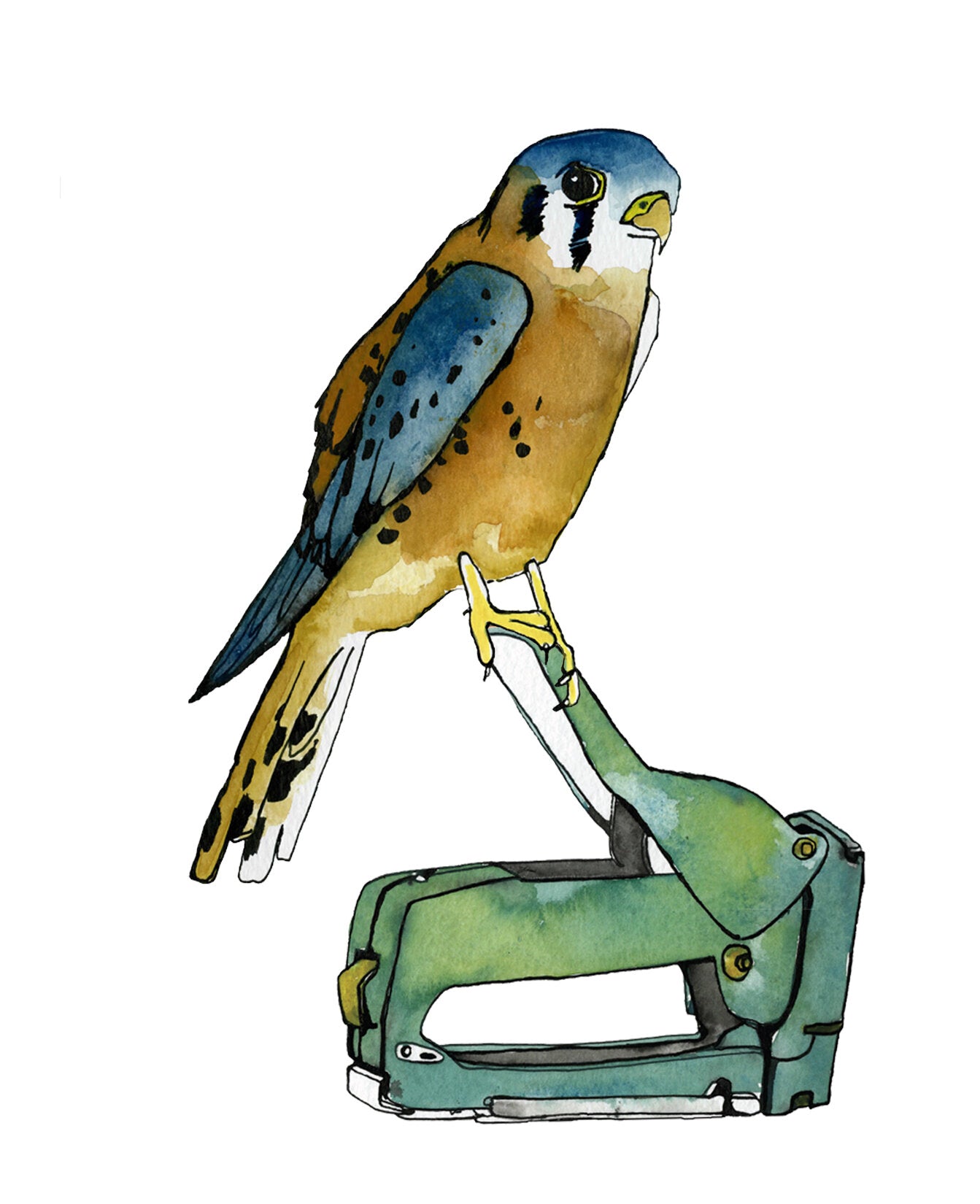 Kestrel and Stapler