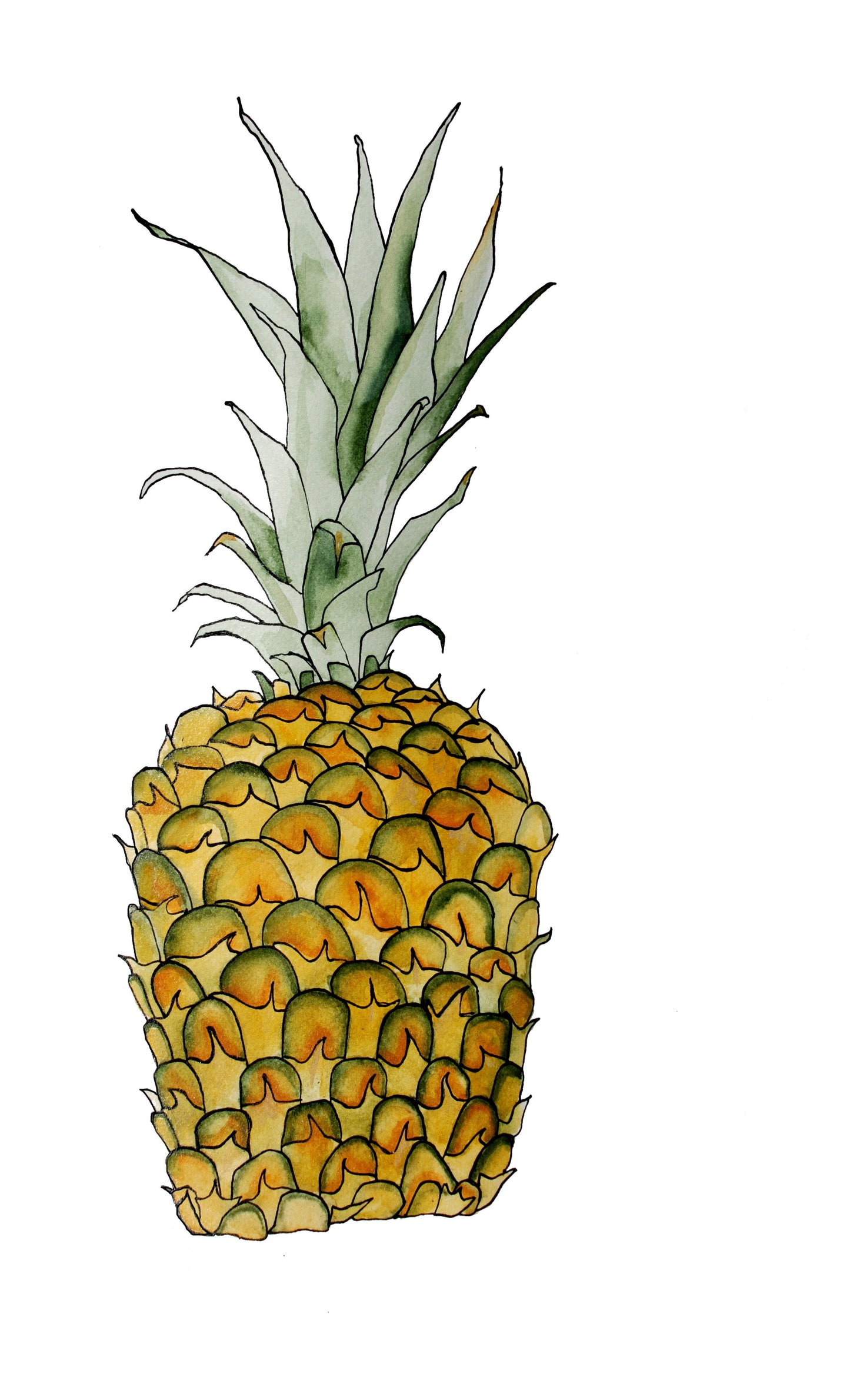 Pineapple