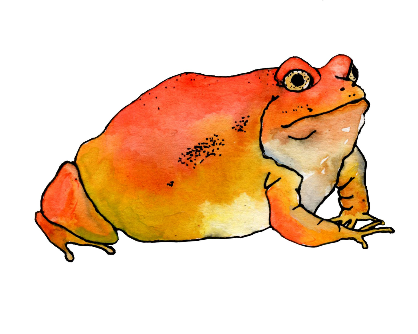 Red Frogger