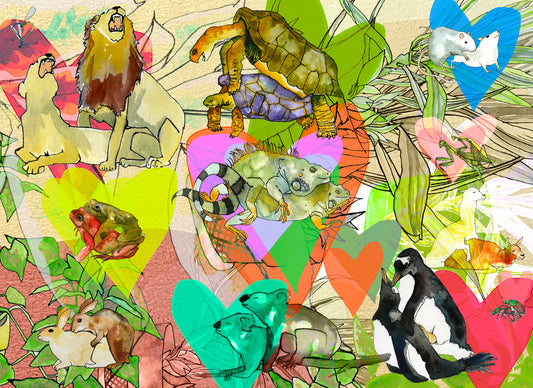 Animal Love