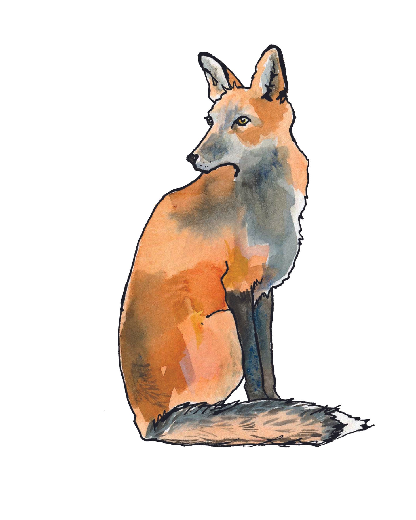 Sitting Fox