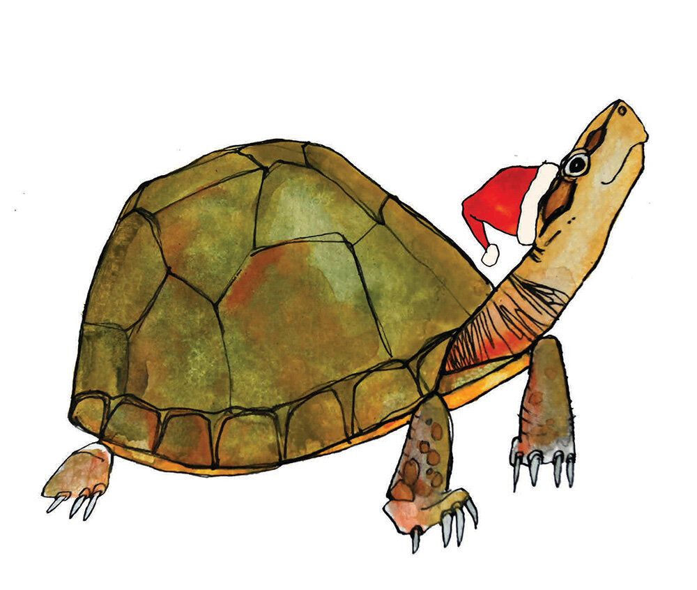 Turtle Santa